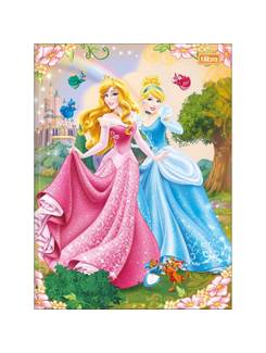 CADERNO BROCHURAO CAPA DURA 80FLS - 308811 - PRINCESAS - UN - TILIBRA
