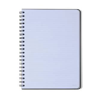 CADERNO ESPIRAL CAPA DURA JARD 80FLS / VERDE - UN - CICERO