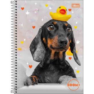 CADERNO UNIV CAPA DURA 12X1 240FLS - ZOOM+ FEM - UN - TILIBRA