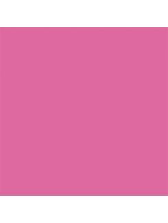 FOLHA EVA  - ROSA BB - PCT 10 - DUBFLEX