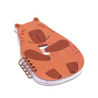 CADERNO PAUTADO CAPA DURA 80FLS - NB - ZOO - UN - BRW