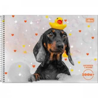 CADERNO DESENHO CAPA DURA 96FLS - ESPIRAL - ZOOM+ FEM - UN - TILIBRA