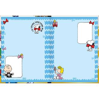 CADERNO COLEGIAL COSTURADO 160FLS - 384071 - SNOOPY - UN - TILIBRA