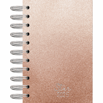 AGENDA ESPIRAL STAR ANUAL - 160FL - ROSE - UN - KIT