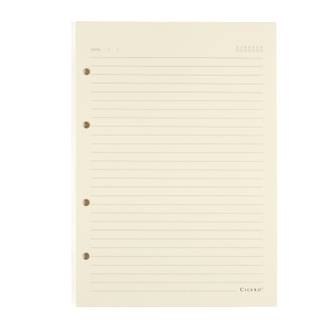 REFIL PAUTADO 80G 17X24 40FLS - UN - CICERO