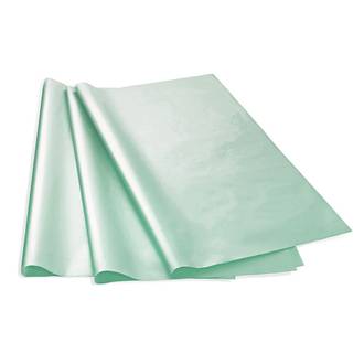 PAPEL SEDA PEROLIZADO - 48X60CM - VERDE JADE - PCT 20 - RIDET