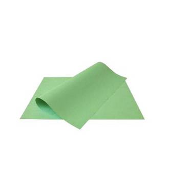 PAPEL CARTOLINA CHAMEQUINHO 50X66 - 120G - VERDE - UN - CHAMEX