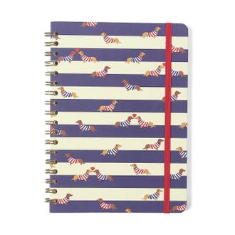CADERNO ESPIRAL CAPA DURA PRAI 80FLS / CACHORROS - UN - CICERO