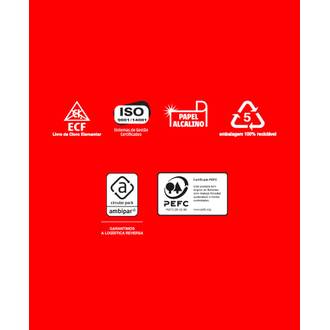 PAPEL CHAMEQUINHO  75G 100FLS - 4 CORES - A4 - UN - CHAMEX