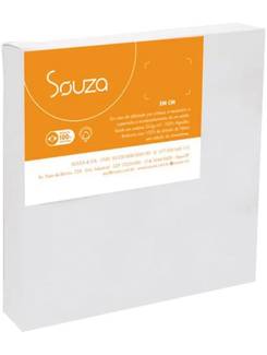 TELA PARA PINTURA 8303 - 20x20 - UN - SOUZA