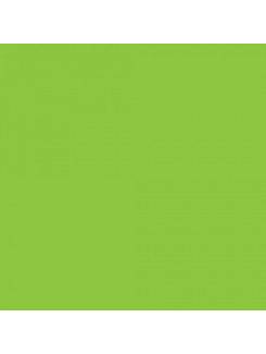 FOLHA EVA  - VERD CLARO - PCT 10 - DUBFLEX