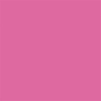 FOLHA EVA  - ROSA BB - PCT 10 - DUBFLEX