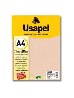 PAPEL VERGE A4 50FLS - 180G - 25031 - SALMAO - UN - USAPEL