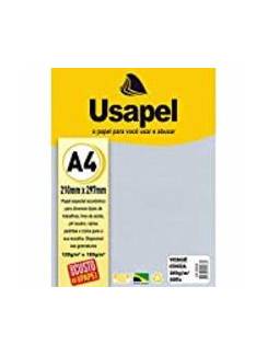 PAPEL VERGE A4 50FLS - 180G - 25028 - CINZA - UN - USAPEL