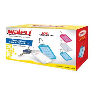 CHAVEIROS COLOR C/ETIQUETAS ID C/100 CHAVEIROS - 10180004 - UN - MAXCRIL