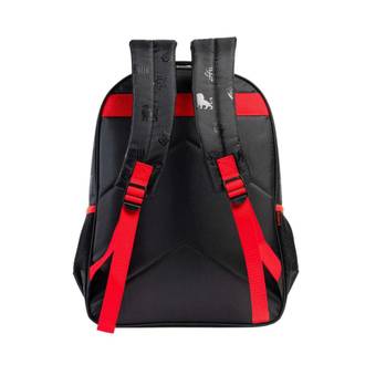 MOCHILA COSTAS VITORIA R 16 POL - 16552 - UN - XERYU´S