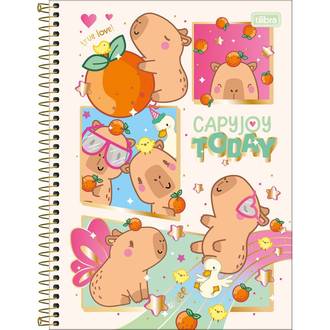CADERNO UNIV CAPA DURA 16X1 256FLS - 397270 - CAPYCLUB - PCT 2 - TILIBRA