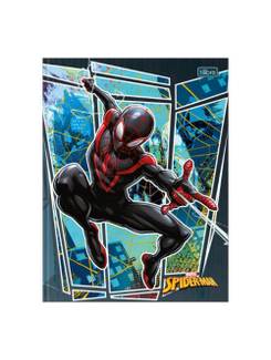 CADERNO BROCHURAO CAPA DURA 80FLS - SPIDER MAN - PCT 5 - TILIBRA