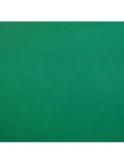 FOLHA EVA  - VERDE BANDEIRA - PCT 10 - DUBFLEX