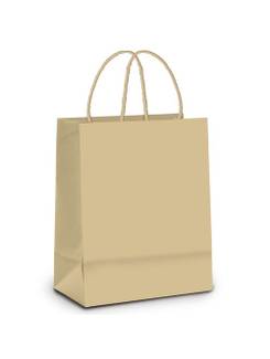 SACOLA DE PAPEL KRAFT PARDO  - 26x19,5x9,5 M - UN - CROMUS