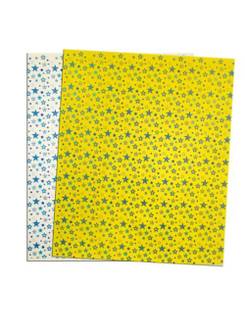 FOLHA EVA DECORADA  - ESTRELA - PCT 10 - IBEL