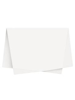 PAPEL SEDA 48X60CM - BRANCO - PCT 100 - RIDET