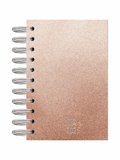 AGENDA ESPIRAL STAR ANUAL - 160FL - ROSE - UN - KIT