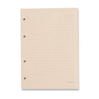 REFIL PAUTADO 80G A5 40FLS - UN - CICERO