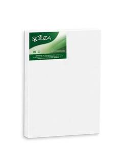 TELA PARA PINTURA 8304 - 20X30 - UN - SOUZA